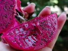 -北京清河镇农副产品交易市场中心