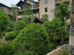 -浙江安吉JW万豪酒店·万豪中餐厅