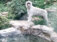 -红山森林动物园