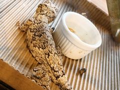 -春晖园度假酒店温泉