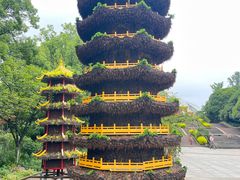 -南山植物园