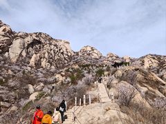 -北京凤凰岭