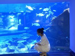 -南昌融创海世界