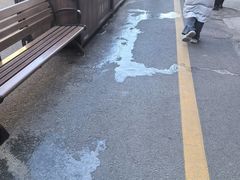 -中国中医科学院西苑医院(本部)