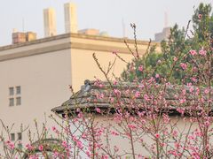 -乌山风景区