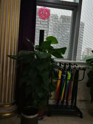 -禾美嘉医疗美容