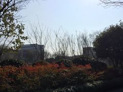 -弄堂里(阿里西溪A区店)