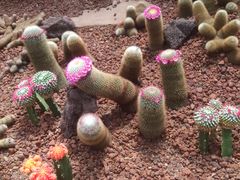 -南通洲际绿博园