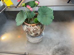 -单家老院·院子里的青岛菜(沙子口店)