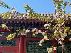 -海棠花溪(元大都城垣遗址公园)