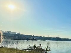 -仙湖旅游度假区