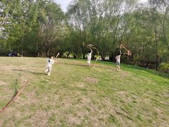 -长白岛森林公园