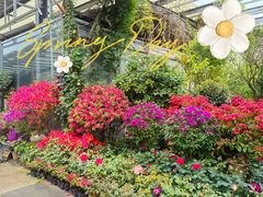 -金科花卉市场