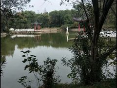 -青龙山国家森林公园