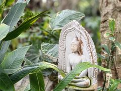 -上海辰山植物园