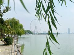 -无锡蠡湖国家湿地公园-蠡园