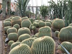 -北京植物园-展览温室