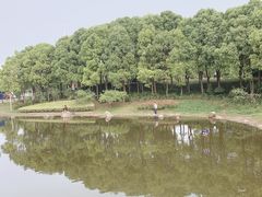 -美兰湖景区