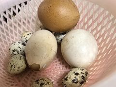 -瘦鬼老档糖水铺