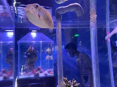 -太平洋海底世界