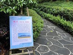 -腾冲洞山温泉村