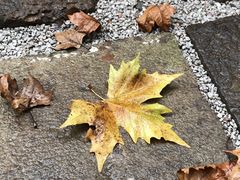 -梵几(东信·和创园店)