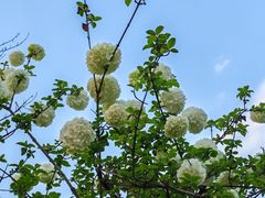 -大龙山(地铁站)