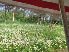 -桤木河湿地公园