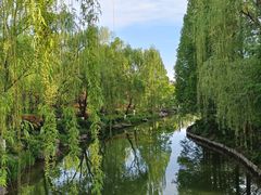 -百脉泉景区
