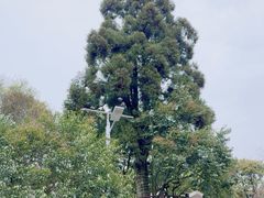 -鼓岭旅游度假区