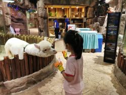 -宝燕乐园(闵行旗舰店)