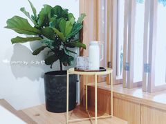 -Oasis coffee燕谷咖啡(公信店)