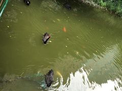 -梅森休闲健身(滨江店)