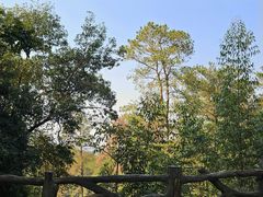 -白云山风景名胜区