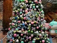 -杭州开元森泊度假乐园