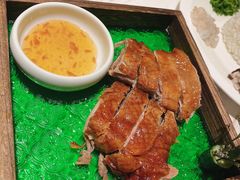 -汤城·料青山