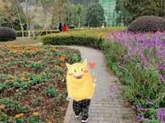 -铁山坪森林公园