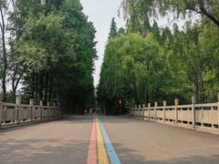 -日照海滨国家森林公园