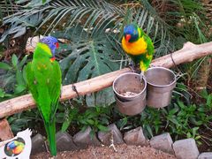 -南宫五洲植物乐园