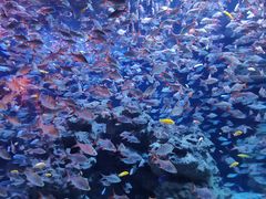 -成都浩海立方海洋公园