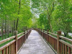 -溱湖国家湿地公园