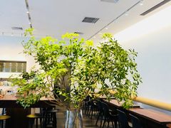 大堂-Seesaw Coffee(上海尚悦湾店)