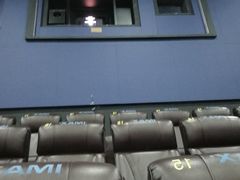 -齐纳激光IMAX影城(张店银座店)
