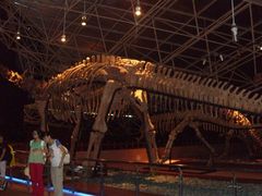 -世界恐龙谷景区