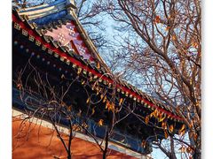 -北京艺术博物馆(万寿寺)