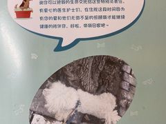 -美联众合动物医院·24h转诊中心