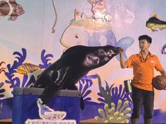 -太平洋海底世界