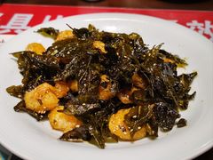 -七菜馆·东北菜·蒸饺(文体路店)