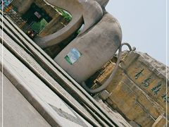 -青岛森林野生动物世界