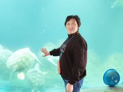 -广东惠东海龟国家级自然保护区